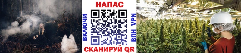 Где купить наркотики Павлово Галлюциногенные грибы  Гашиш  МАРИХУАНА  СК 