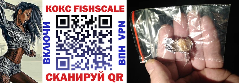 цены   МЕГА как войти  Кокаин FishScale  Павлово 
