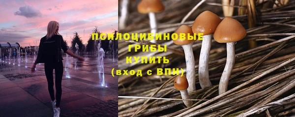 а пвп мука Алзамай