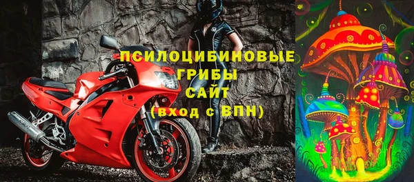 сатива Алексеевка