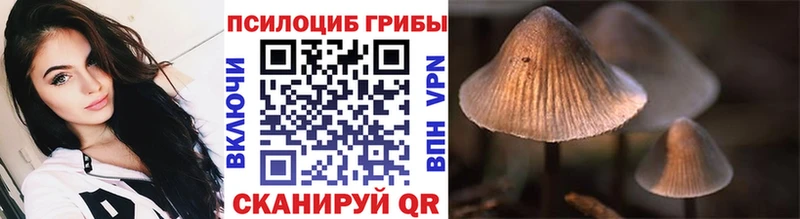 Псилоцибиновые грибы мухоморы где можно купить Павлово