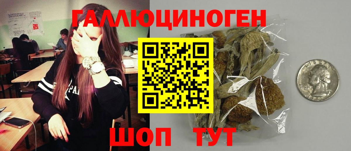 Павлово  Галлюциногенные грибы GOLDEN TEACHER  Вход с VPN 